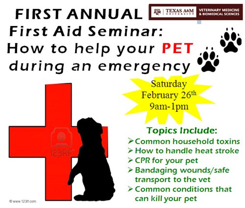 first aid first aid